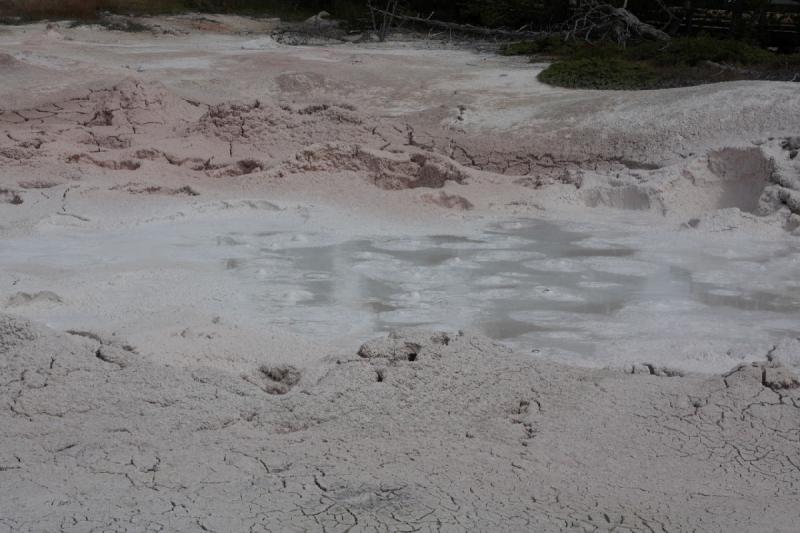 2009-08-03 10:37:43 ** Yellowstone National Park ** Boiling mud at 'Fountain Paint Pots'.